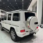 Mercedes-Benz G-Class 2019 из Китая
