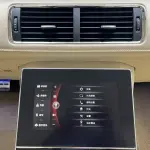 Hongqi 红旗金葵花国礼 2025 из Китая