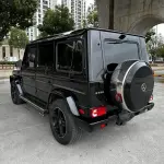 Mercedes-Benz G-Class 2019 из Китая