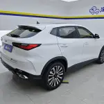 Oshan Oushang X5 2022 из Китая