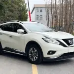 Nissan Murano 2021 186 л.с. из Китая