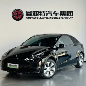 Tesla Model Y 2021 лот 57765251 из Китая
