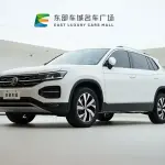 Volkswagen Tayron 2019 из Китая