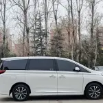 GAC Motor Trumpchi M8 2024 из Китая
