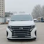 GAC Motor Trumpchi M8 2024 из Китая