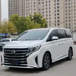 GAC Motor Trumpchi M8 2024 из Китая
