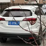 Honda Vezel 2018 136 л.с. из Китая