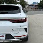 BYD PLUS 2021 из Китая