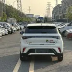 BYD Dolphin 2023 лот 57780322 из Китая