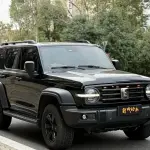 Tank Tank 300 2022 из Китая