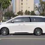 GAC Motor Trumpchi M8 2021 252 л.с. 252 л.с. 252 л.с. 252 л.с. 252 л.с. 252 л.с. из Китая