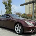 Mercedes-Benz CLS 2011 272 л.с. из Китая