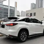 Lexus RX 2020 231 л.с. — лот 57791160 из Китая