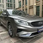Geely Borui 2021 из Китая