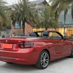 BMW 2 Series (Import) 2018 136 л.с. — лот 57801907 из Китая