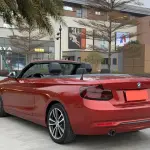 BMW 2 Series (Import) 2018 136 л.с. — лот 57801907 из Китая
