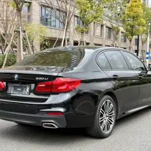 BMW 5 Series 2019 252 л.с. — лот 57804023 из Китая