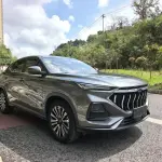 Oshan Oushang X5 2021 180 л.с. из Китая