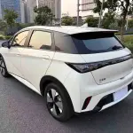 BYD Dolphin 2024 из Китая