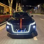 Hongqi Hongqi H5 2024 224 л.с. — лот 57812149 из Китая