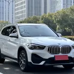 BMW X1 2019 192 л.с. 192 л.с. 192 л.с. 192 л.с. 192 л.с. из Китая