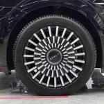 Zeekr 009 2024 из Китая