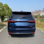 BYD MAX 2021 из Китая