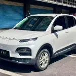 Dayun Yuehu 2023 из Китая