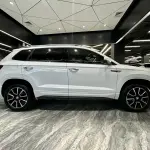Skoda Karoq 2024 из Китая