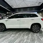 Skoda Karoq 2024 из Китая