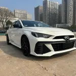 GAC Motor Shadow Leopard 2024 265 л.с. из Китая
