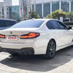 BMW 5 Series (Import) 2021 из Китая