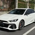 GAC Motor Shadow Leopard 2023 265 л.с. 265 л.с. из Китая