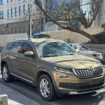 Skoda Kodiaq 2019 из Китая