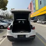 BMW X4 2020 184 л.с. 184 л.с. 184 л.с. 184 л.с. из Китая