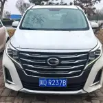 GAC Motor Trumpchi M8 2020 из Китая
