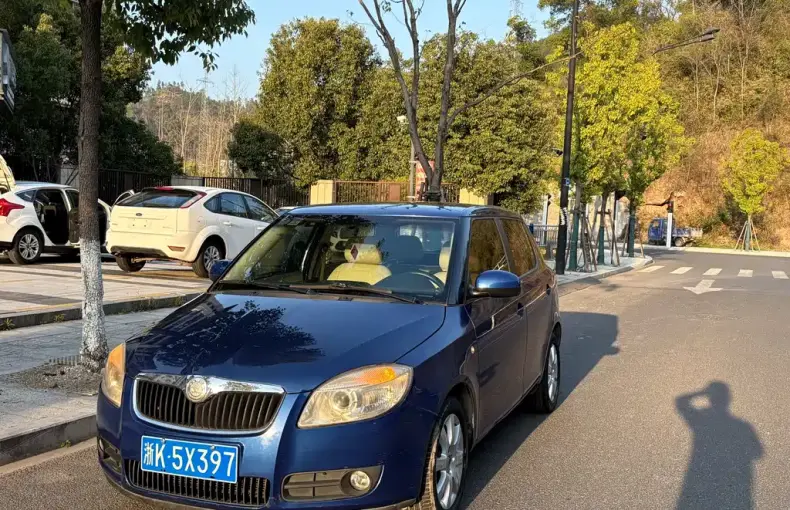 Skoda Fabia 2011 из Китая