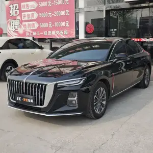 Hongqi Hongqi H5 2024 из Китая