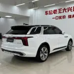 Hongqi Hongqi E-HS9 2023 лот 57830767 из Китая