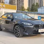 BMW 2 Series 2025 204 л.с. — лот 57831059 из Китая
