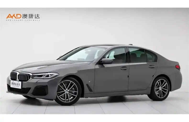 BMW 5 Series (Import) 2021 из Китая