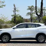 Oshan Oushang X5 2020 из Китая