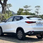 Oshan Oushang X5 2020 из Китая