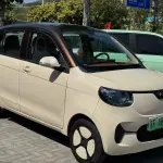 FERRAL EV 2022 из Китая