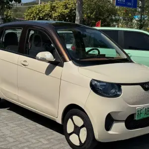 FERRAL EV 2022 из Китая