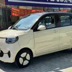 FERRAL EV 2022 из Китая