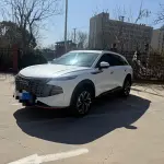 Haval Shenshou 2022 из Китая