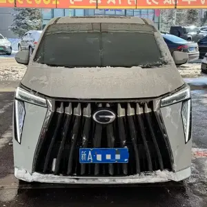 GAC Motor Trumpchi M8 2023 из Китая