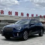 Wey Wey VV7 2021 из Китая