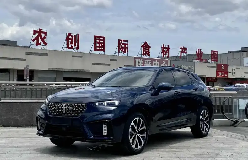 Wey Wey VV7 2021 из Китая
